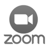 Zoom Logo